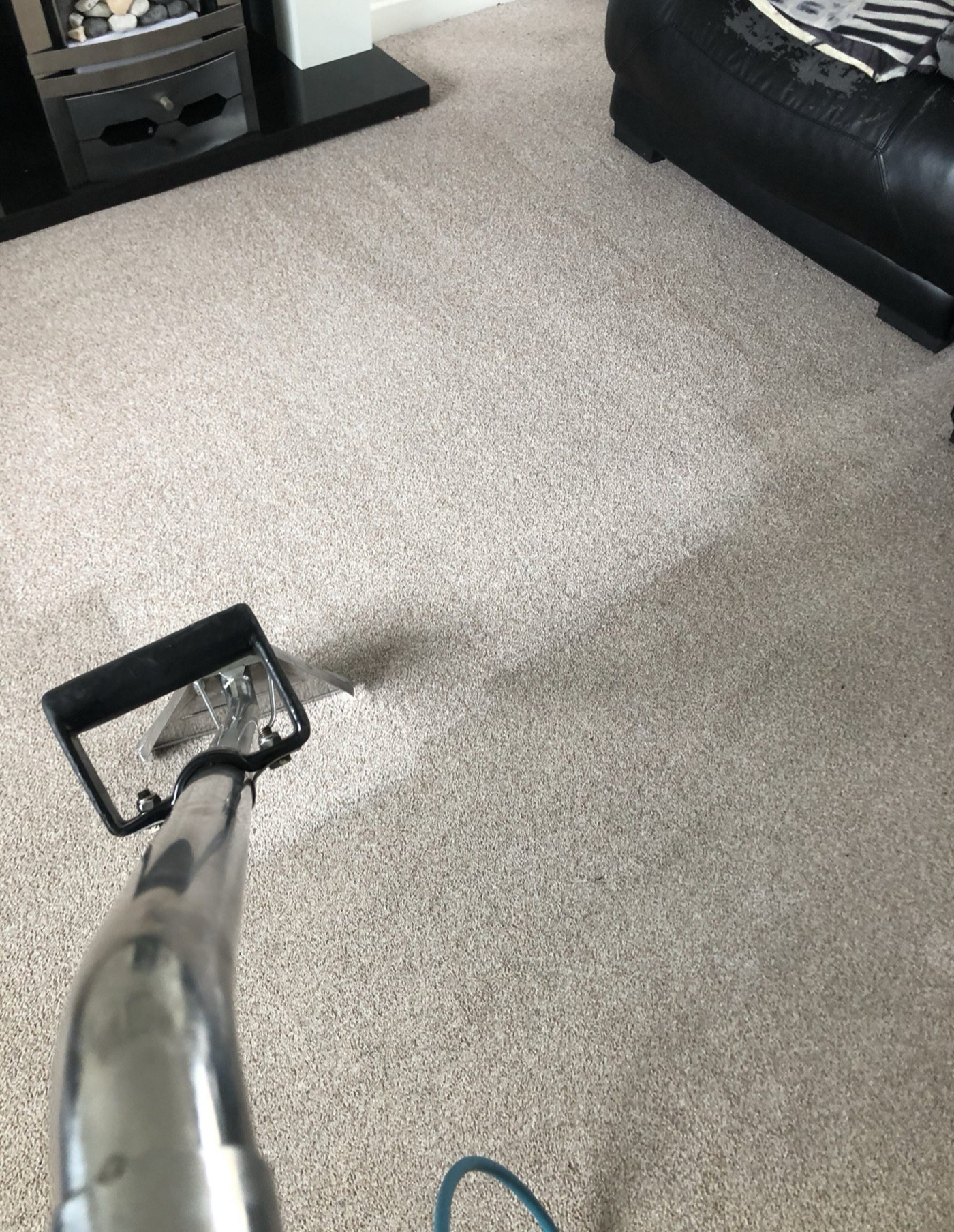 Professional carpet cleaning in progress with hot-water extraction wand